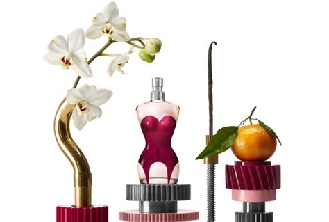 The Luxurious Ingredients that Make Vieorua Perfume a Sensory Delight